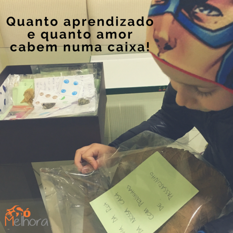 brincadeira de natureza brincadeira de natureza