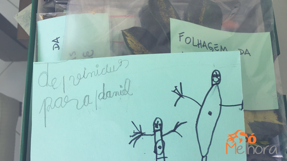 natureza para crianças meio ambiente e família